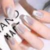 imageJODSONE 10ml Cat Eye Gel Nail Polish Glitter Silver Gel Polish with Magnet Soak Off U V Lamp Silver Shimmer Nail Art Manicure Salon DIY HomeCAT01