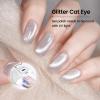 imageJODSONE 10ml Cat Eye Gel Nail Polish Glitter Silver Gel Polish with Magnet Soak Off U V Lamp Silver Shimmer Nail Art Manicure Salon DIY HomeCAT01