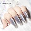 imageJODSONE 10ml Cat Eye Gel Nail Polish Set Pink Brown Collection 6 Colors for Holographic Glitter Cat Eye with Magnet at Home Salon Design Gift for Girls2654FSilver
