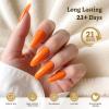 imageJODSONE 3Pcs 10ml Top and Base Coat Nail Glue Gel Set No Wipe for Long Lasting Manicures Nail Glue Gel for Securely Attaching False Nails and Decorations Requires U V Lamp Curing10MLBTR