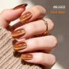 imageJODSONE 20 Colors Cat Eye Gel Nail Polish Kit with Base Coat Top Coat 3IN1 Magnet UV Soak Off Gel Polish for at Home DIY Nail Art20SETCE