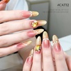 image:imageJODSONE Cat Eye Gel Nail Polish with Magnet 165ml Teal Gold Glitter Magnetic Gel for U VLED Curing DIY Nail Art Salon Gift  CAT14165MLCAT12